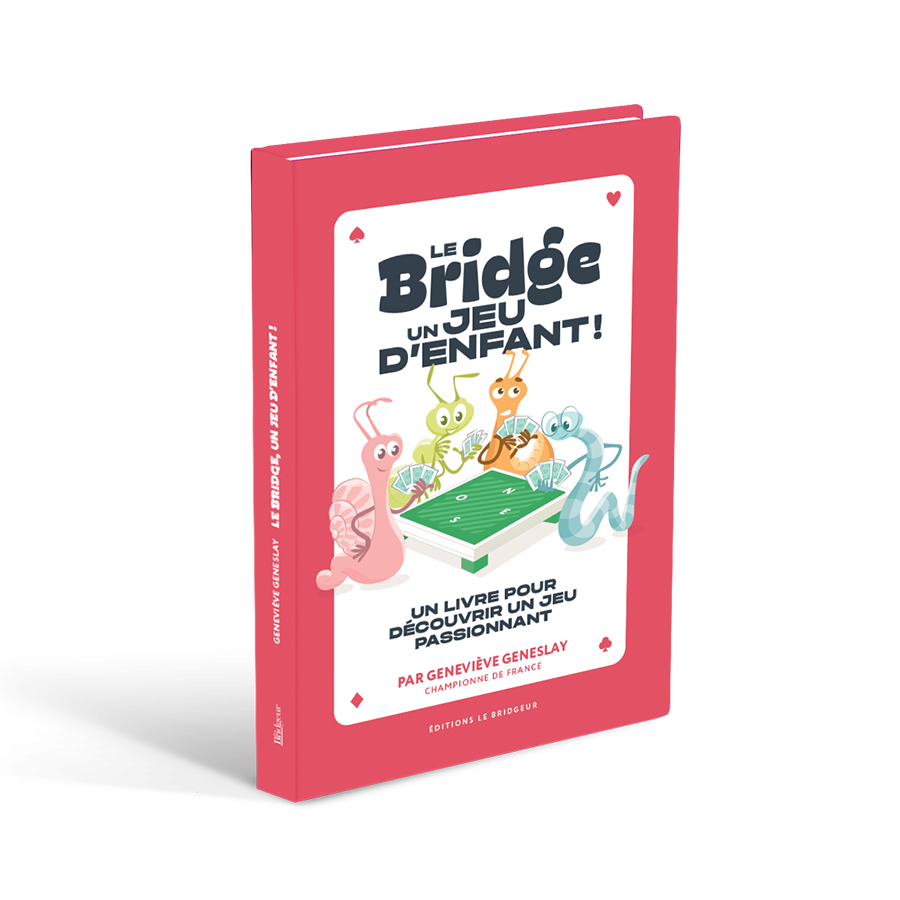 Geneviève Geneslay Le Bridge un jeu d'enfant visuel livre