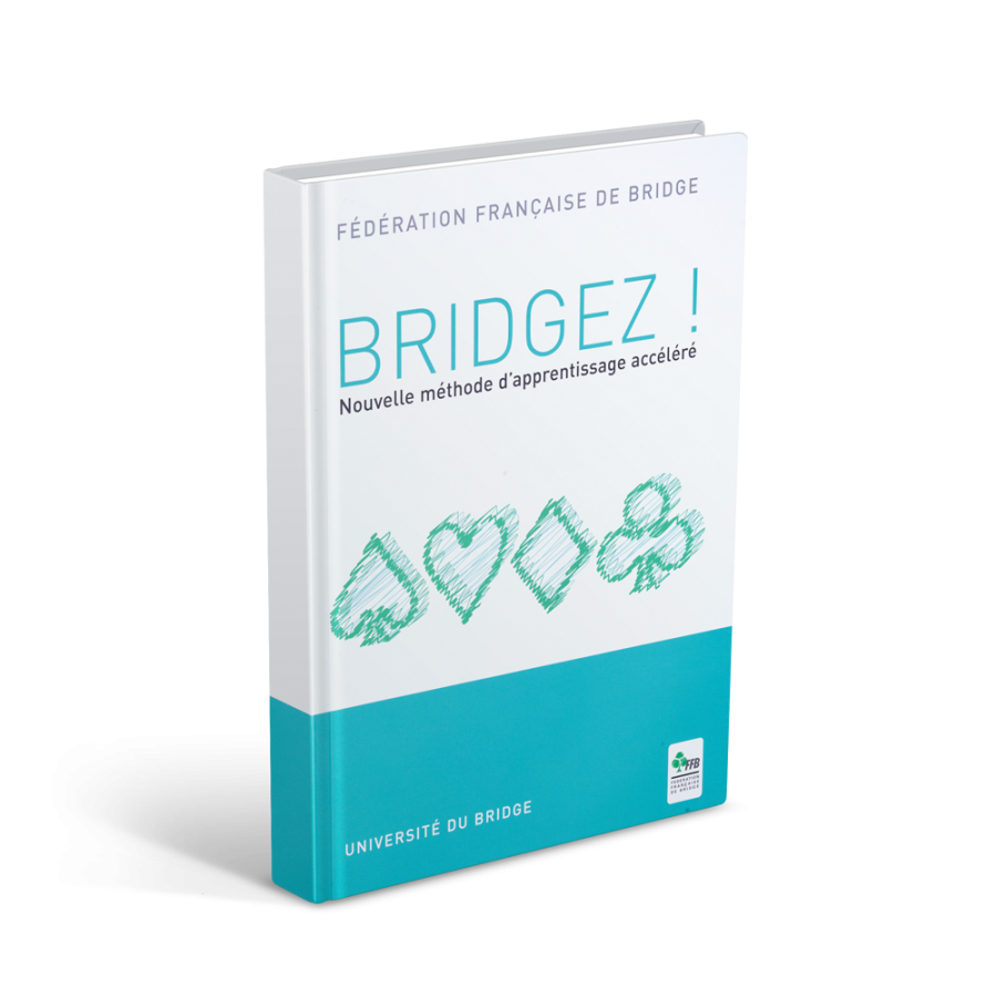 Bridgez !