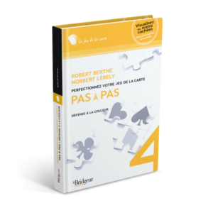 Pas à pas Tome 4 – numérique ou papier