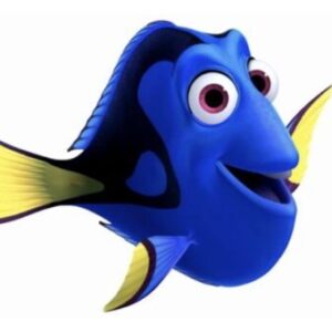 Profile photo of Sue