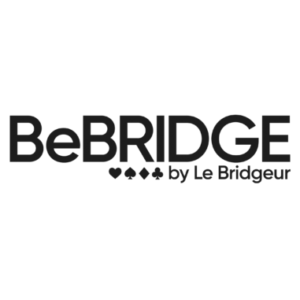 Photo de Profil de BeBRIDGE