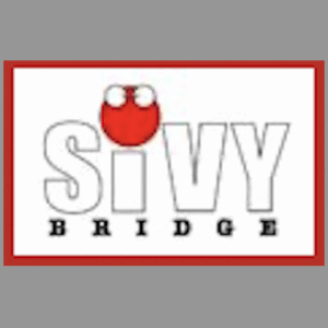 Logo du groupe Silicon Valley Youth Bridge