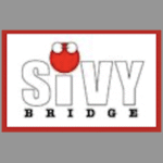 Logo du groupe Silicon Valley Youth Bridge